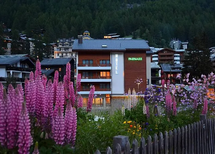 Hotel Parnass 3*